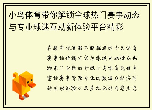 小鸟体育带你解锁全球热门赛事动态与专业球迷互动新体验平台精彩